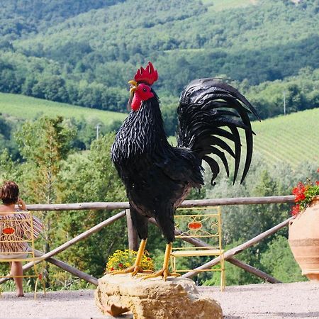 Agriturismo Borgo Il Bonagino Рада ин Шанти Экстерьер фото