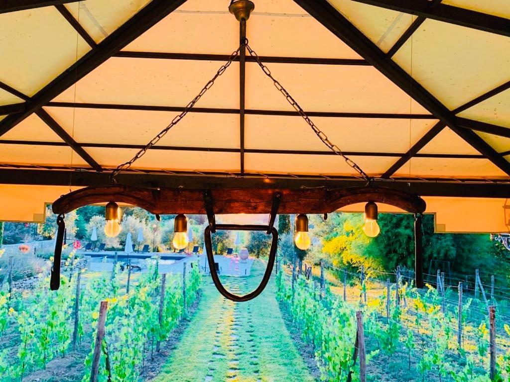 Agriturismo Borgo Il Bonagino Рада ин Шанти Экстерьер фото