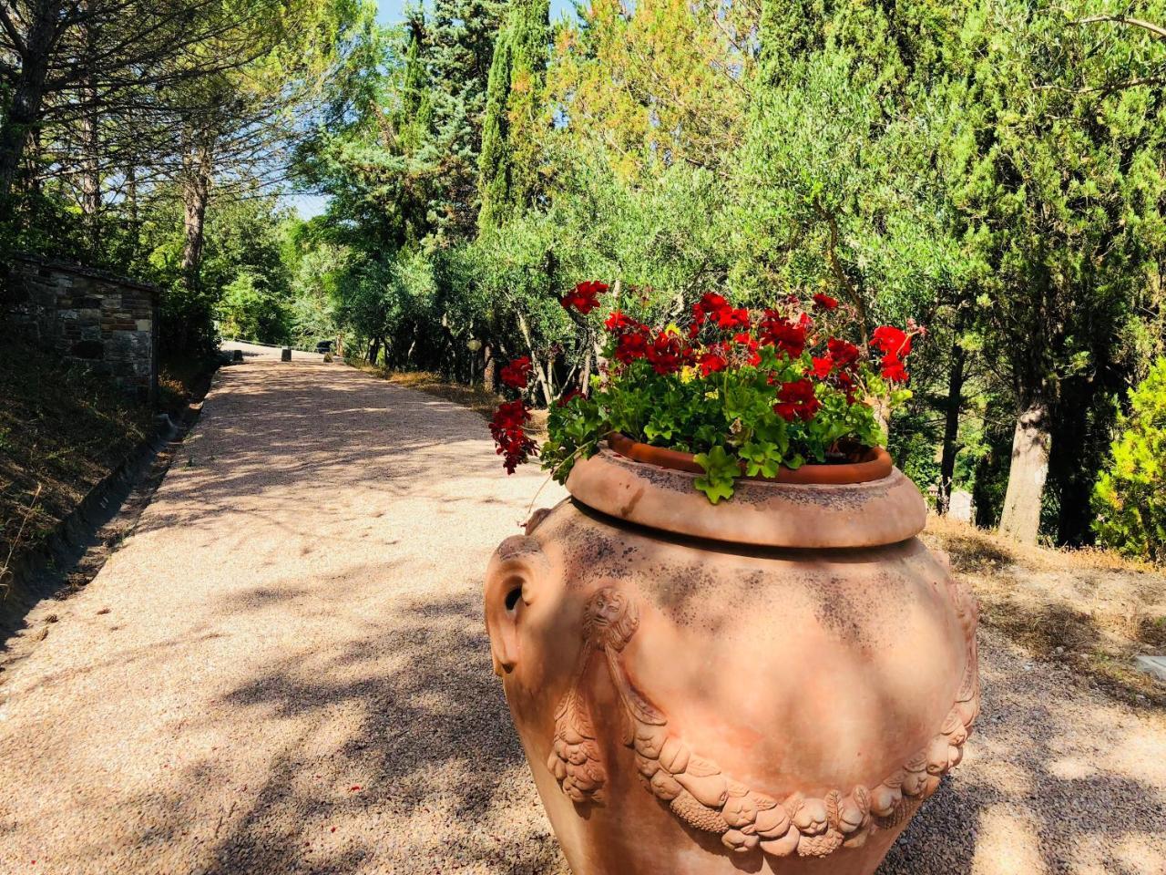 Agriturismo Borgo Il Bonagino Рада ин Шанти Экстерьер фото