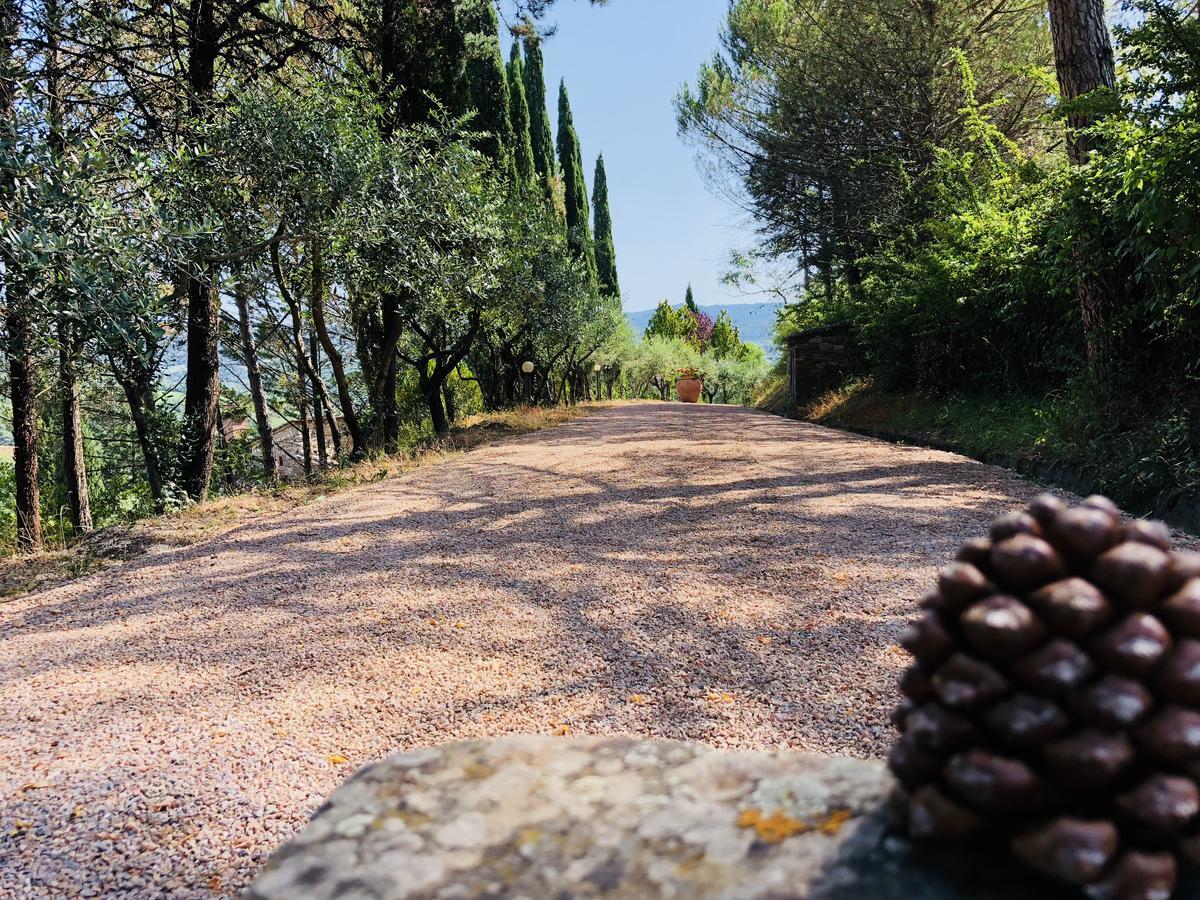 Agriturismo Borgo Il Bonagino Рада ин Шанти Экстерьер фото